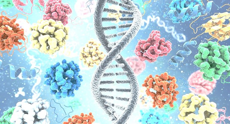 How does evolution account for this complexity?