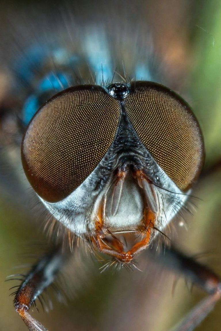 How does evolution account for this complexity?