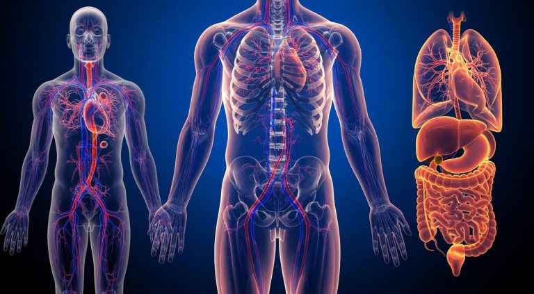 But where did the fundamental energy 
come from originally?
